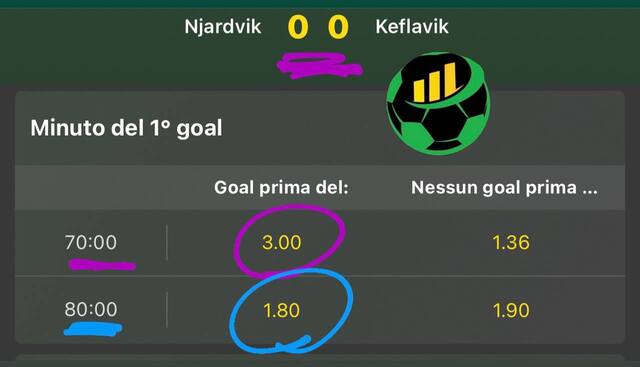 Vincere 20 euro al giorno con le scommesse sportive seguendo la guida semplice Stats4Bets